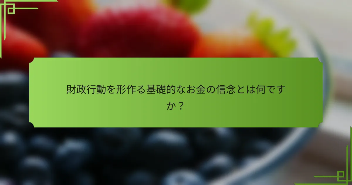 財政行動を形作る基礎的なお金の信念とは何ですか?